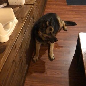 Meet your Posher, Mary